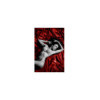 Drap vinyle rouge 200x220 cm 